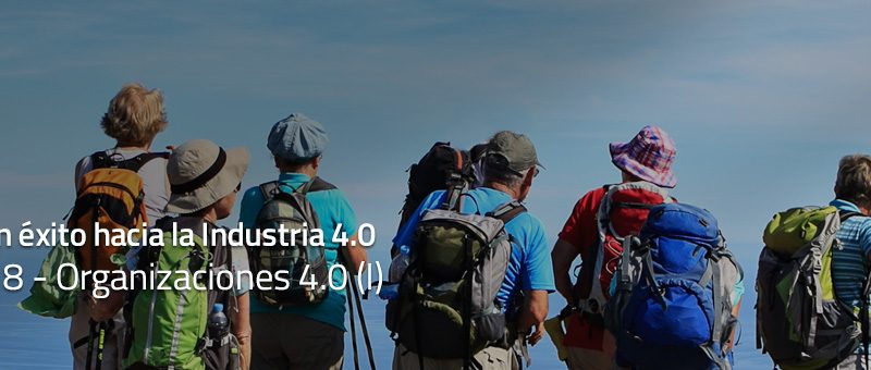 Caminar con éxito hacia la Industria 4.0: Capítulo 8 – Organizaciones 4.0 (I)