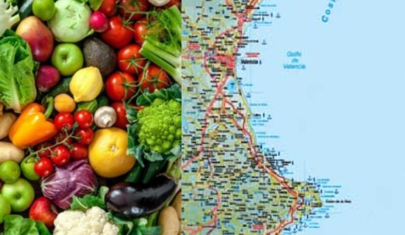 Así ha sido el año previo a la pandemia para el sector agroalimentario de Palencia: cítricos y hortalizas