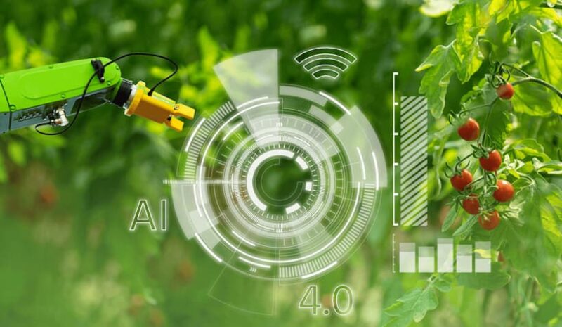 Proyecto AgrarIA: la inteligencia artificial en la cadena agroalimentaria