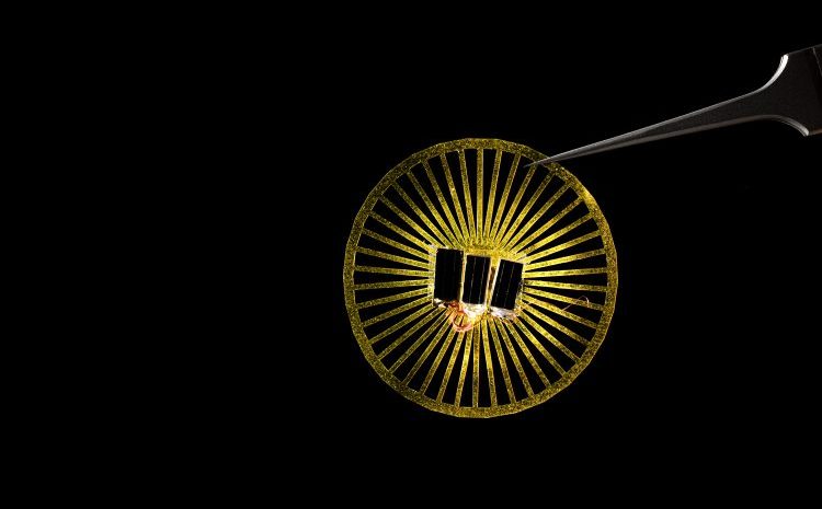 Sensores sin batería que flotan con el viento para recolectar datos