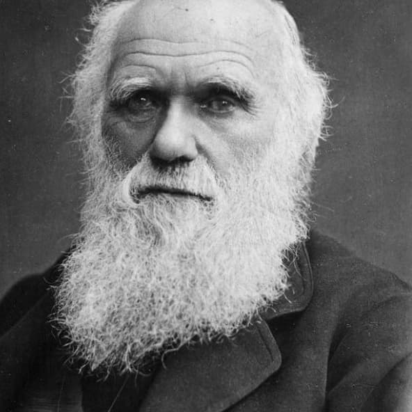 charles-darwin-592x592