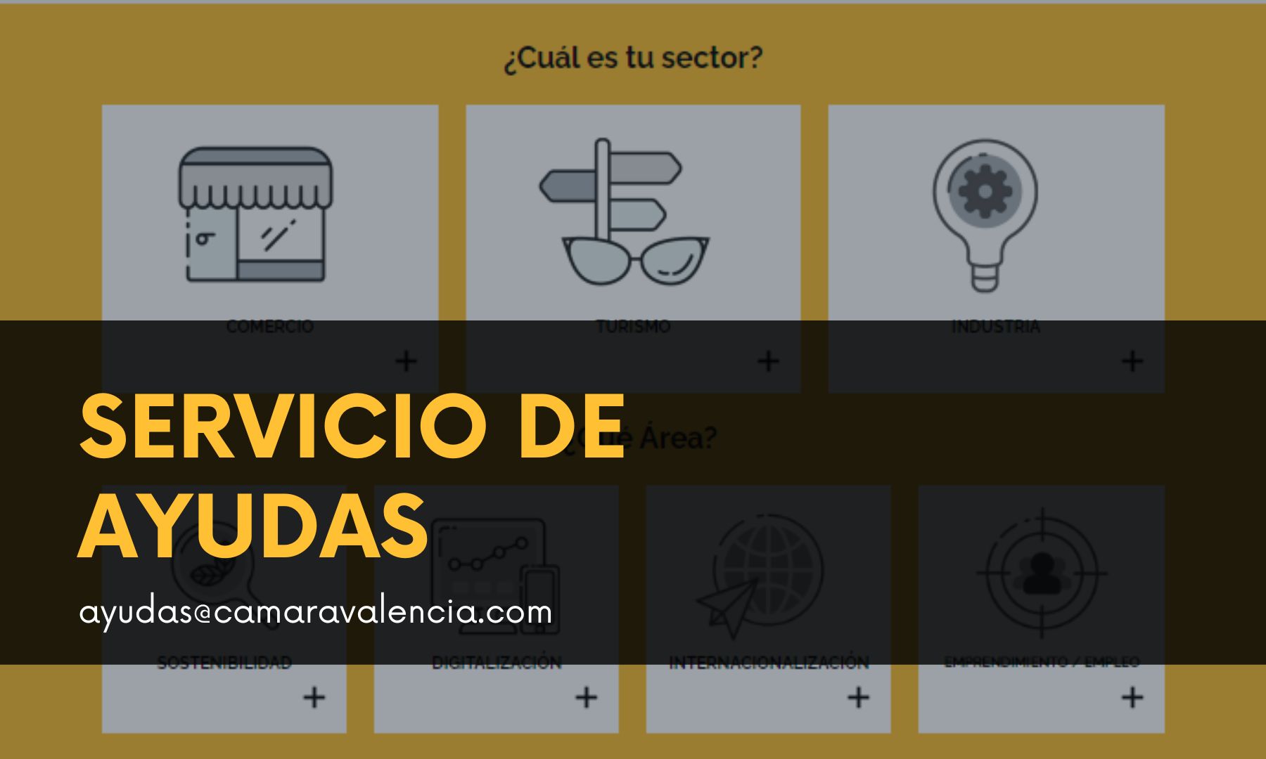 Servicio de ayudas y servicio de asesoramiento en digitalización. Envíanos un mensaje a ayudas@camarapalencia.com
