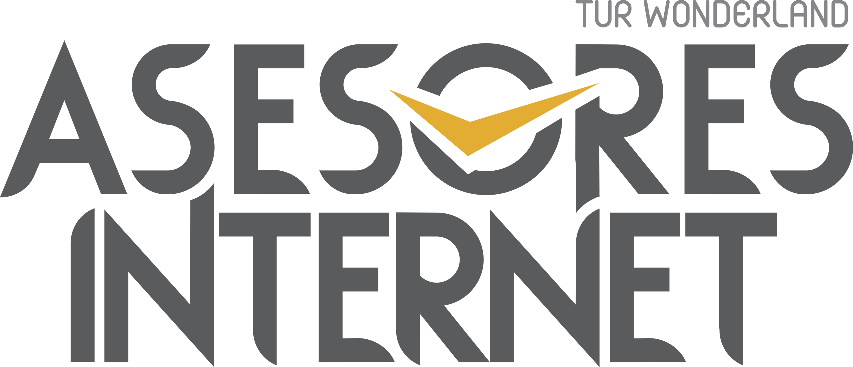 Asesores Internet